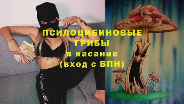 прущая мука Вязники